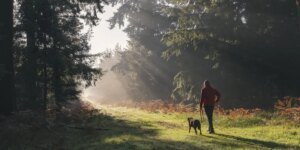 Os cães se tornaram os melhores amigos do homem 5.000 anos antes do que se pensava, de acordo com um novo estudo
