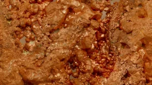 Questcorp Mining conclui pesquisa de IP no projeto de cobre da Ilha Norte de BC