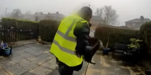 Um motorista de entrega da Amazon enfrenta cinco anos de prisão por roubar um gato da porta da frente de uma família perturbada