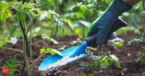 A Índia procura 2,5 milhões de toneladas métricas de ureia em meio a restrições de abastecimento no Oriente Médio