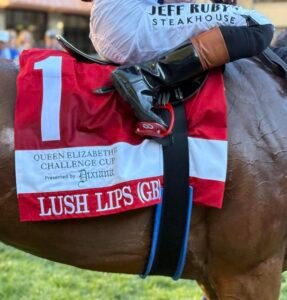 Jenny Wiley da 1ª série aposta em Keeneland, um paraíso de jogos