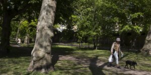 London News: Carne envenenada direcionada a cães encontrada em DOIS parques de Londres