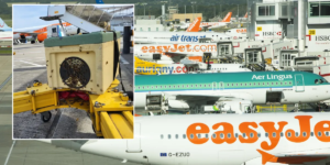 O aeroporto de Gatwick foi forçado a fechar seu portão por seis horas devido a um enxame de abelhas