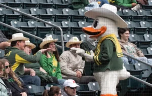 O beisebol dos Ducks perdeu um jogo selvagem para Illinois ao empatar a série
