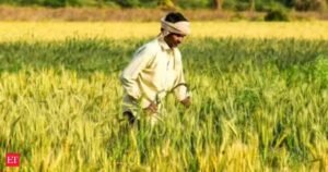 O governo UP permite a compra por Rs 6.500 por tonelada e aumenta o limite de gramas em Andhra Pradesh