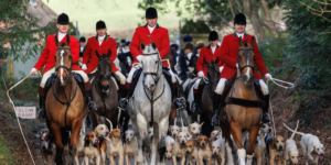 Proibição da caça: milhares de empregos – e cães