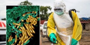 65 mortos e 246 suspeitos de surto de Ébola no leste da RDC