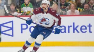 Como Nicolas Roy está relacionado com a lenda da NHL, Patrick Roy