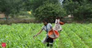 O subsídio de fertilizantes da Índia pode exceder Rs 3 lakh crore se a crise na Ásia Ocidental continuar