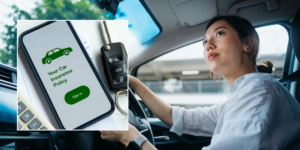 Os motoristas enfrentam monitores de direção obrigatórios sob novos planos, já que as mortes de motoristas inexperientes exigem ações rápidas