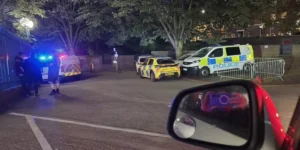 Um adolescente foi preso sob suspeita de fraude de bomba depois que um show de Peter Kay foi evacuado