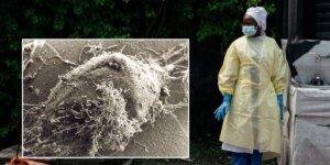 Um especialista médico sugere que o surto de Ebola passou despercebido por “várias semanas” enquanto o número de mortos aumenta