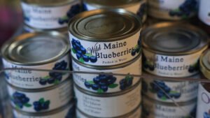 Agricultores do Maine esmagados por um desastre de mirtilo de US$ 28 milhões – e em breve você sentirá isso no supermercado. Aqui está o que aconteceu