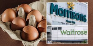 Morrisons e Waitrose prometem continuar vendendo ovos marrons enquanto os supermercados embarcam na campanha Net Zero